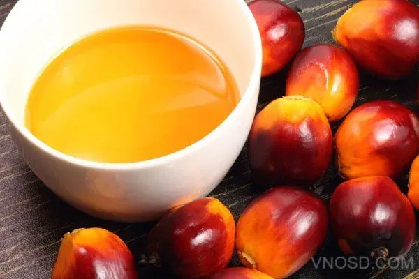 Giá dầu cọ hôm nay