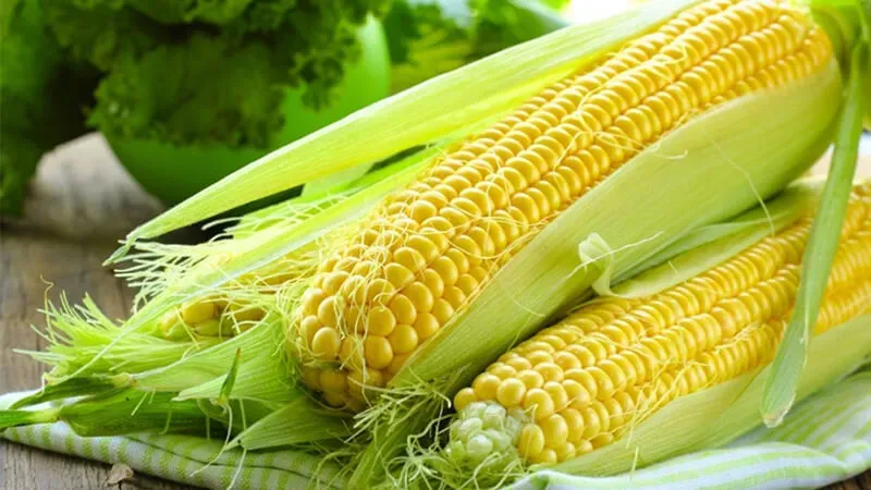 nông sản hôm nay