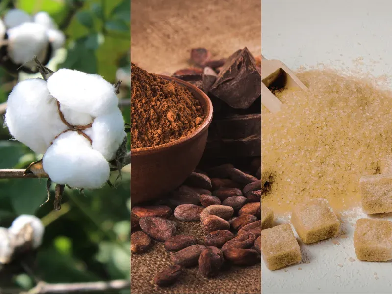 Nguyên liệu công nghiệp 15/4