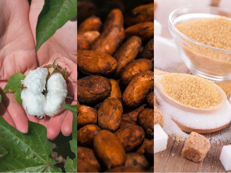 Nguyên liệu công nghiệp 20/4