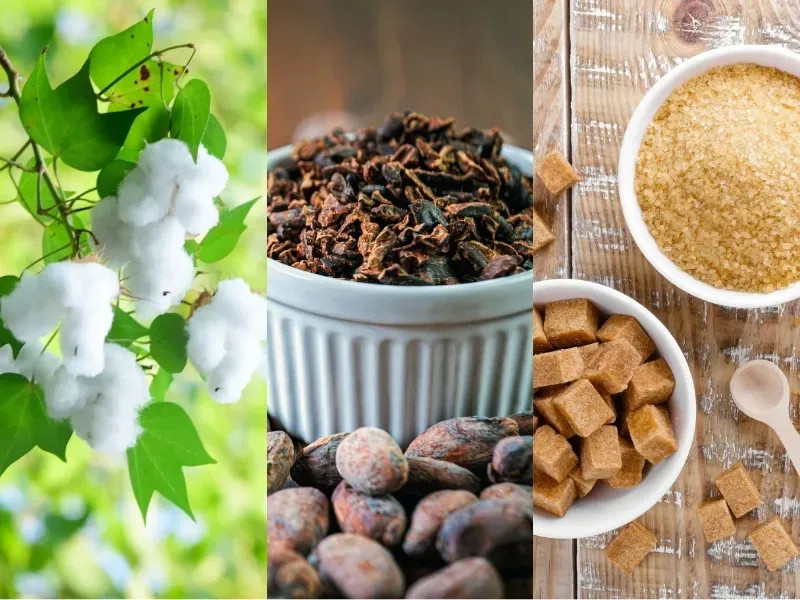 Nguyên liệu công nghiệp 22/4