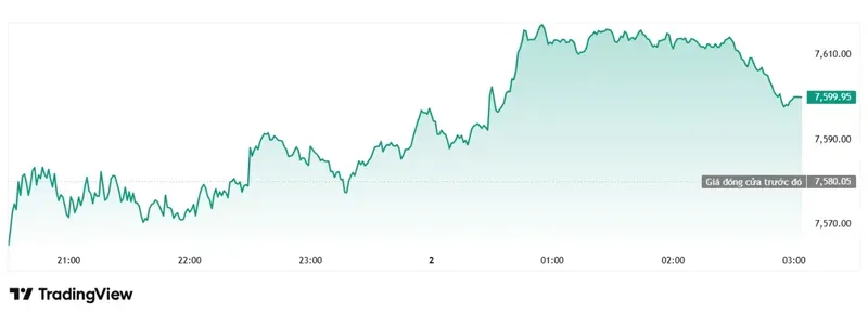 S&P 500