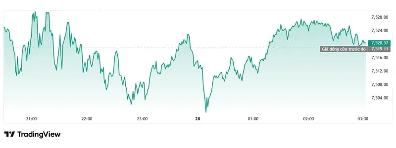 S&P 500