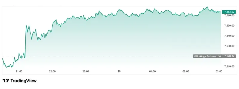 S&P 500