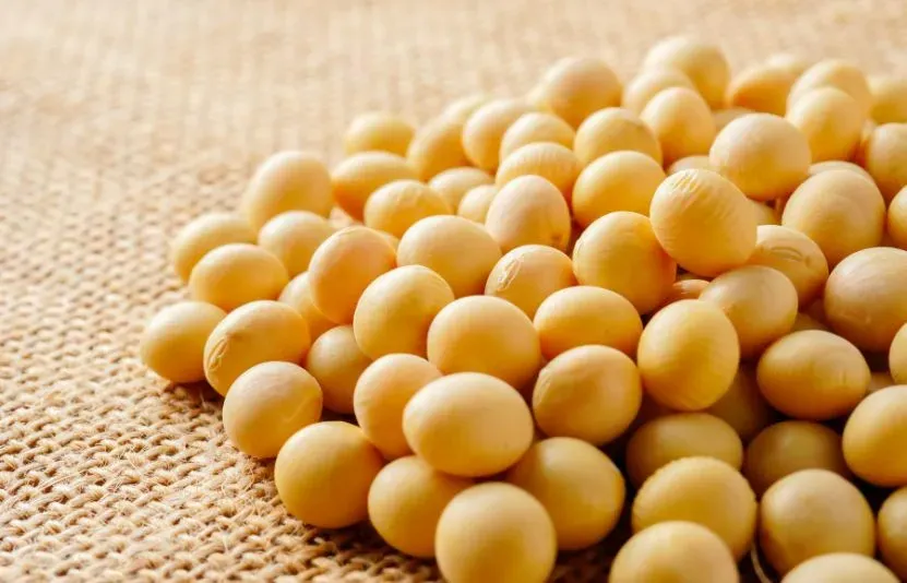 ngô đậu tương lúa mì