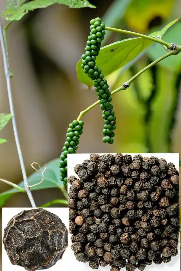 thị trường tiêu thế giới