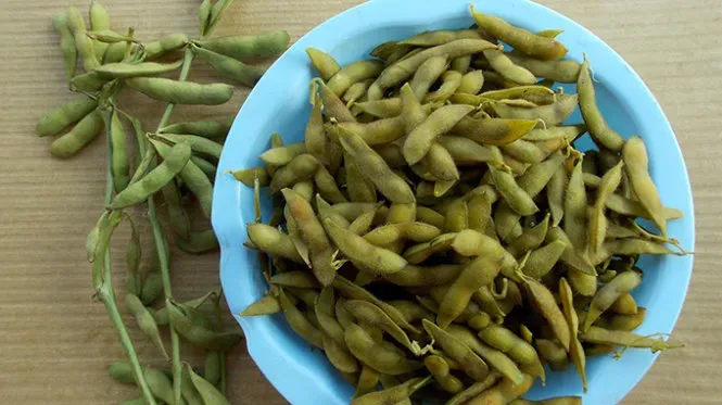 nông sản