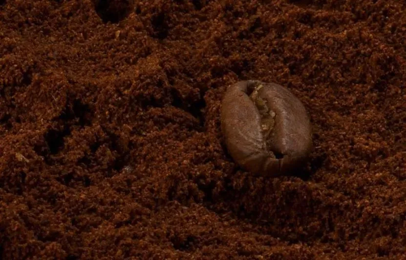 Giá cà phê 15/09: Tồn kho Arabica ở mức thấp nhất trong 26 năm, xuất khẩu tại Brazil gây áp lực giá