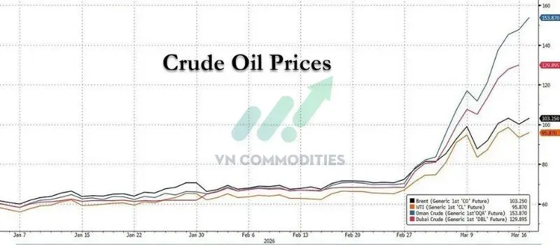 → Chênh lệch giá dầu giữa các khu vực lớn: giá dầu châu Á cao hơn Mỹ tới ~50%