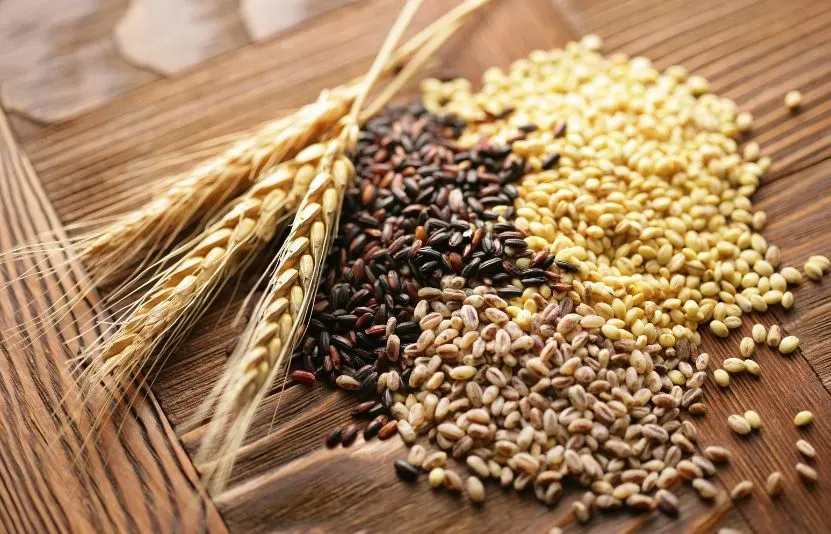 Thị trường nông sản ngày 03/09 biến động trái chiều dưới áp lực cung cầu