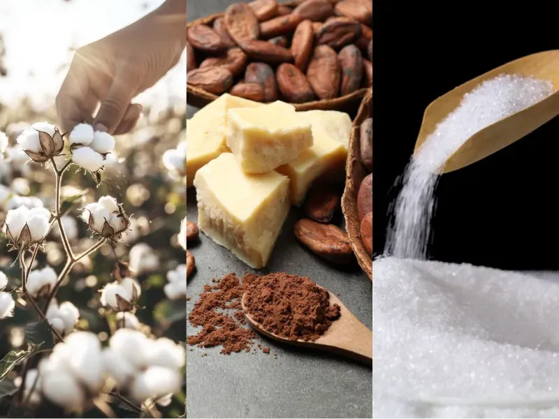 Nguyên liệu công nghiệp 10/4: Trung Quốc tăng cầu Bông, áp lực bủa vây giá Đường và Ca cao