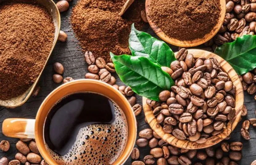 Giá cà phê ngày 13/02 bật tăng mạnh, áp sát ngưỡng 98.000 đồng/kg