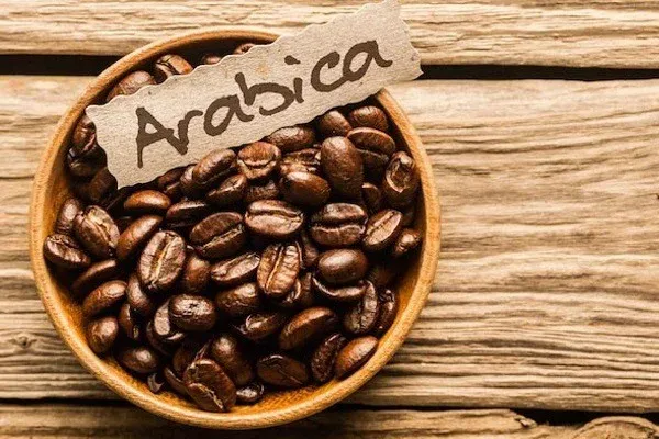 Thị trường cà phê hôm nay: Robusta tăng mạnh, áp lực thời tiết El Nino