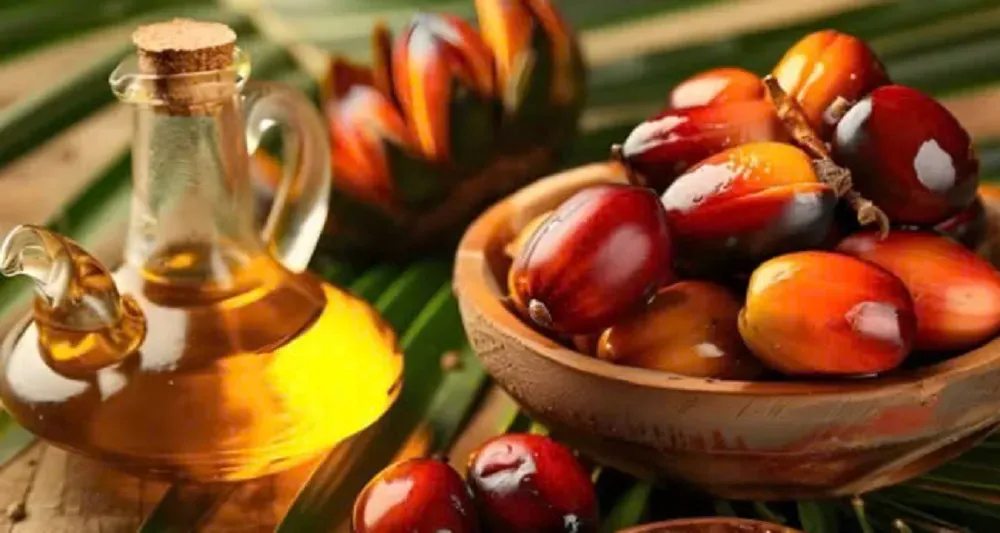 Giá dầu cọ tăng nhờ đà kéo từ dầu ăn đối thủ