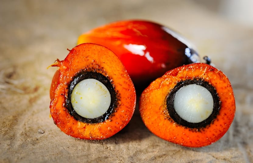 Giá dầu cọ mở phiên tăng hơn 1%