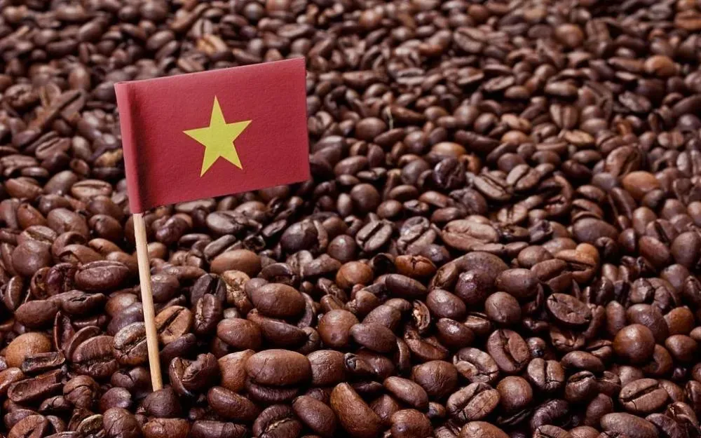 Giá cà phê 24/2: Đà giảm chưa dứt, thị trường lùi sát ngưỡng 93.000  đồng/kg