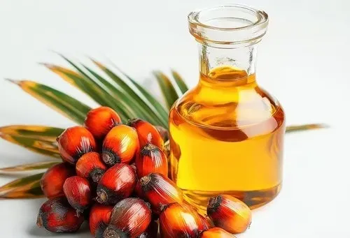 Giá dầu cọ mở cửa giảm do áp lực từ sàn Đại Liên