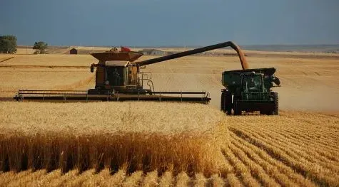 Thị trường nông sản 27/04: Nga siết chặt nguồn cung lúa mì, Argentina tê liệt vận tải vì đình công