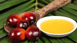 Giá dầu cọ tăng phiên thứ ba liên tiếp hướng tới một tuần tăng trưởng