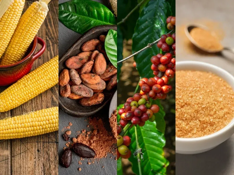 Thị trường hàng hóa 3/9: Dầu áp sát đỉnh, Vàng vọt tăng; Nông sản và Cà phê lao dốc
