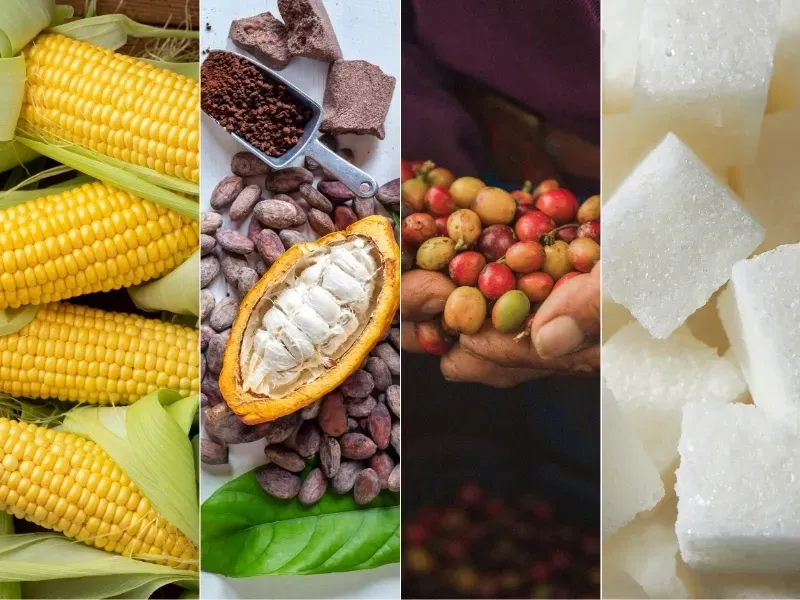 Thị trường hàng hóa 8/7: Dầu và ca cao bứt phá mạnh, vàng và cà phê lao dốc