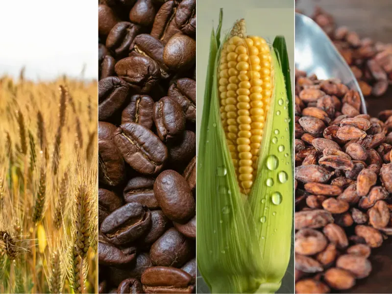 Thị trường hàng hóa 18/6: Đồng loạt lao dốc trước áp lực vĩ mô từ Fed và đòn bẩy tỷ giá