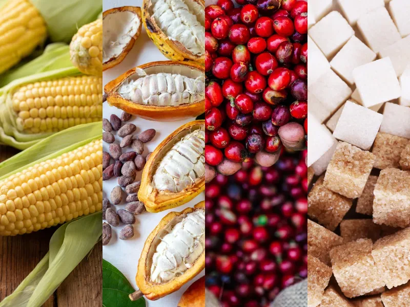 Thị trường hàng hóa 20/7: Giá dầu Brent áp sát mốc 90 USD, giá đậu tương vọt tăng mạnh
