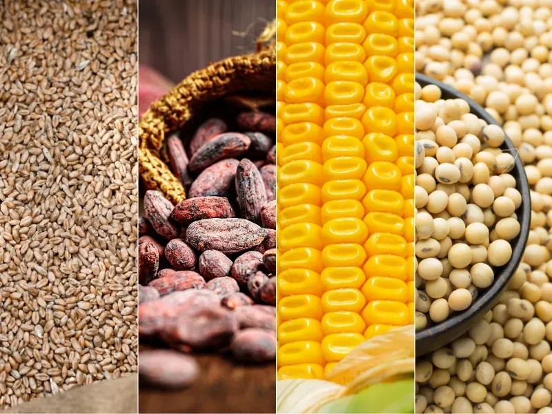 Thị trường hàng hóa 22/6: Giá dầu thô lao dốc, nhóm nguyên liệu phân hóa mạnh