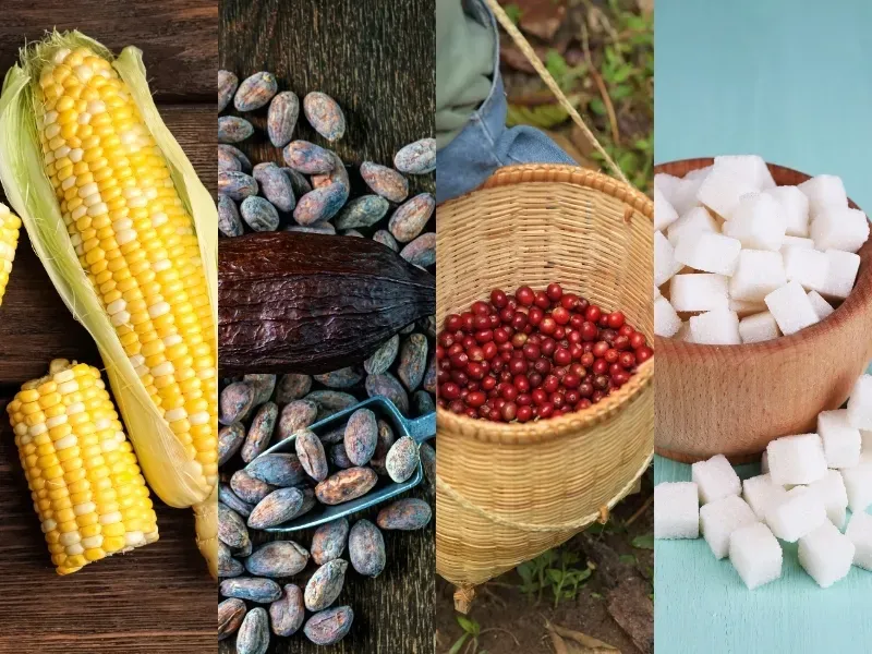 Thị trường hàng hóa 23/7: Dầu Brent vượt 100 USD, vàng bốc hơi hơn 2%