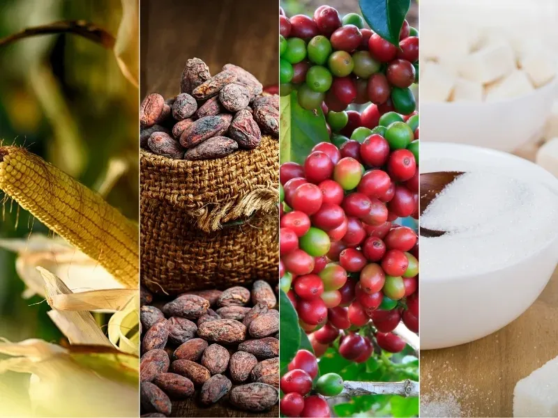 Thị trường hàng hóa 29/6: Vàng và nông sản lao dốc, dầu thô và đường bứt phá