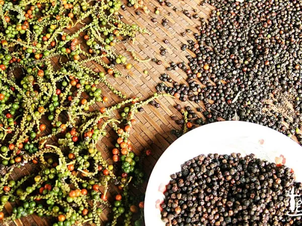 Giá tiêu hôm nay 23/7: Đồng loạt tăng tại nhiều địa phương, Đắk Nông giữ đỉnh 141.000 đồng/kg