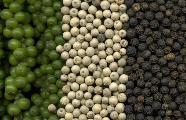 Giá tiêu hôm nay 13/1: Trong nước điều chỉnh nhẹ, Indonesia và Brazil đồng loạt giảm