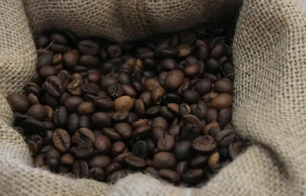 Giá cà phê 4/9: Arabica và Robusta tiếp tục giảm mạnh