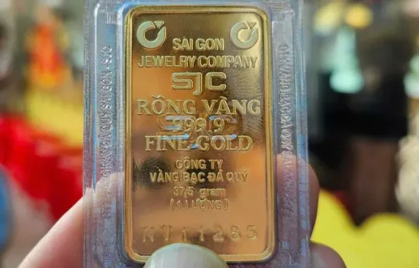Giá vàng hôm nay 22/9/2026: Giá vàng đồng loạt giảm mạnh