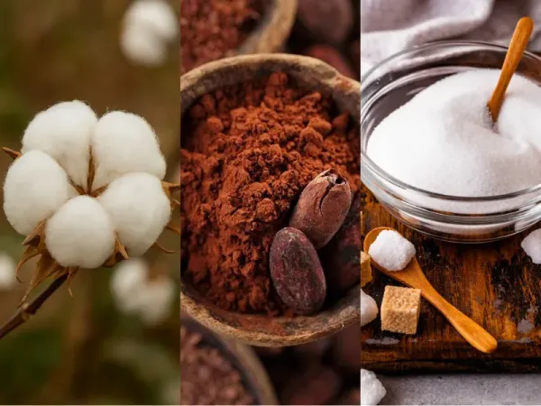 Nguyên liệu công nghiệp 7/4: Giá Bông tăng mạnh, Ca cao và Đường biến động do nguồn cung