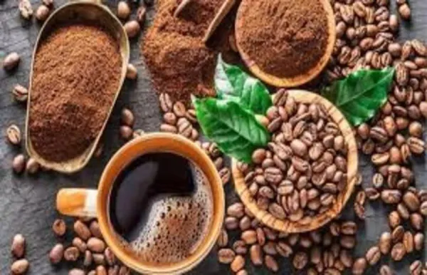 Thị trường cà phê hôm nay: Tiến độ thu hoạch tại Brazil đối mặt thách thức, El Niño đe dọa nguồn cung Robusta