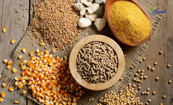 Nông sản 30/03: Hạn hán đe dọa lúa mì Mỹ, diện tích ngô dự báo giảm sâu