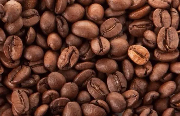 Giá cà phê 18/09: Tồn kho Arabica ICE phục hồi, áp lực giảm giá tăng