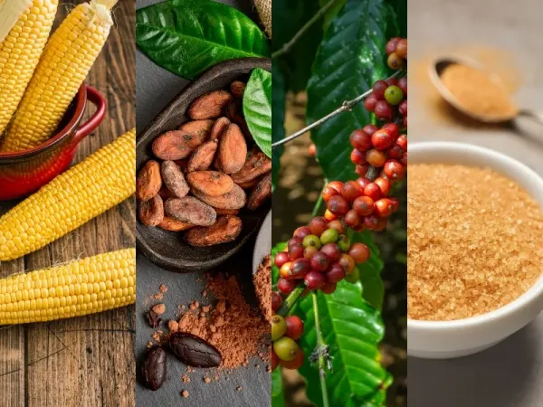 Thị trường hàng hóa 3/9: Dầu áp sát đỉnh, Vàng vọt tăng; Nông sản và Cà phê lao dốc