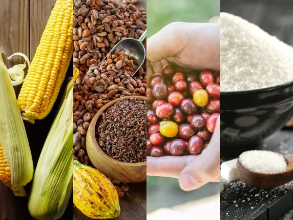 Thị trường hàng hóa 4/8: Giá dầu bốc hơi hơn 5%, giá vàng quay đầu bứt phá