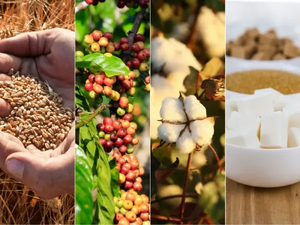 Thị trường hàng hóa 9/6: Giá dầu thô bốc hơi hơn 3 USD, vàng và đồng tìm lại thế cân bằng