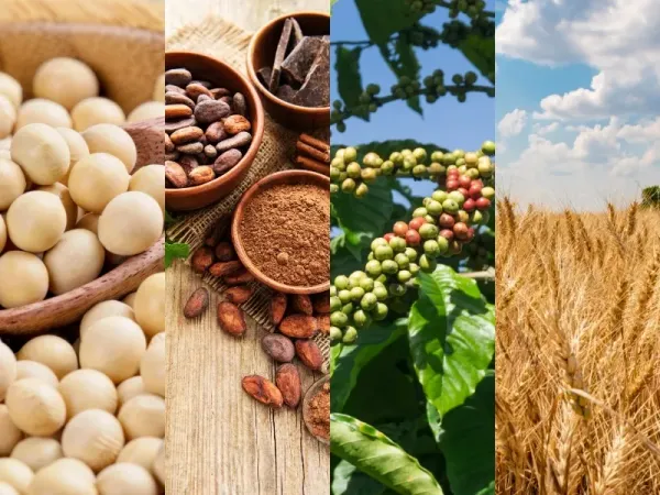 Thị trường hàng hóa 14/9: Giá dầu WTI vượt 100 USD, Giá vàng rơi xuống đáy hơn 1 tháng