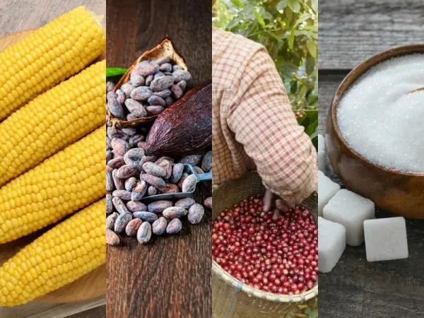 Thị trường hàng hóa 27/7: Giá dầu lao dốc mạnh, cà phê bứt phá nhờ thời tiết \Brazil