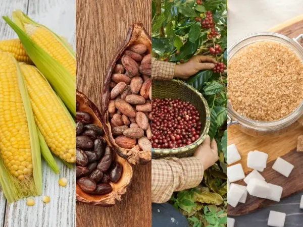 Thị trường hàng hóa 28/7: Giá dầu chạm đáy 2 tuần, cà phê Arabica tăng vọt 4,6%