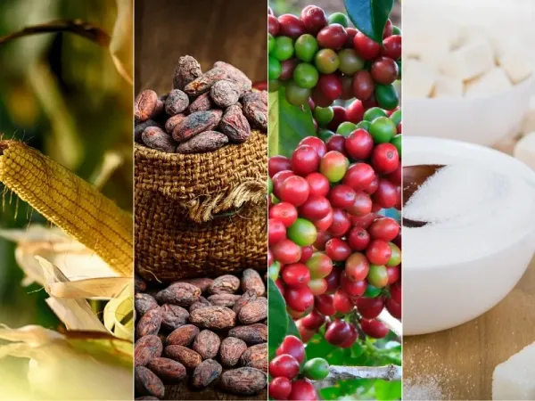 Thị trường hàng hóa 29/6: Vàng và nông sản lao dốc, dầu thô và đường bứt phá