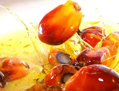 Giá dầu cọ nhích tăng nhờ dầu đậu nành Đại Liên và giá dầu thô