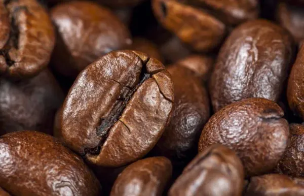 Giá cà phê ngày 26/10 bị ảnh hưởng bởi đồng real Brazil, tồn kho Arabica chạm đáy 27 năm